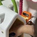 다모아중고가전 앞 횡단보도 | 코코지하우스 로보카폴리 아띠 구매 사용후기: 미디어 노출 없는 교통안전 이야기