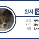 나음동물메디컬센터 이미지