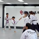 한라태권도 5관 이미지