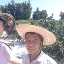 김종우 농장 이미지