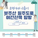 부주산국제클라이밍센터 | "목포 부주산 일주 도로" 야간 운동 가기 - 목포 주간 운동코스 추천해요