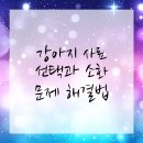 올바른동물병원 이미지