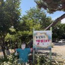 하모니마트모닝호수점 | 안성 용설호수캠핑장 7번 사이트 후기(배스꾼들의 성지)