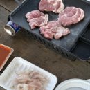 돌고래 좌대낚시터 이미지