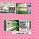 민들레애견 이미지