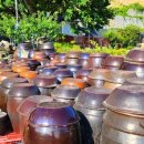 실안길314 이미지