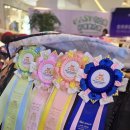 그루밍캐터리 | 2026년 3월 29일 중국 CFA 캣쇼 방문기