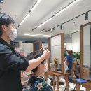에리카 헤어 미사역점 | 미사헤어 에리카헤어에서 5000원에 커트하는 법 : 내돈내산 후기