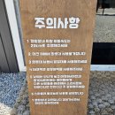 강촌포도펜션 | 그늘 많은 계곡, 강촌 포도캠핑장 : 지붕있는 캠핑장 찾는 분들에게도 추천!