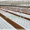 영순농장 이미지