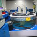 왕창싼회수산 이미지