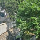 하천회관 이미지