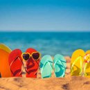 여름이네 이미지