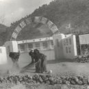 오리초등학교 이미지