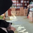 운남동물병원 이미지