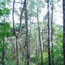 봉천마을회관 이미지