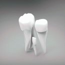 스마일온서울 치과교정과 치과의원 이미지