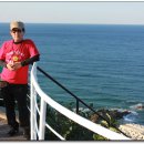 멍나들이 이미지