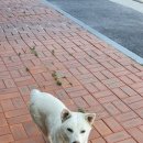 산단4길 이미지