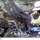 완숙골약수터 이미지