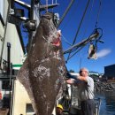 광어한마리 이미지