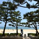 부산광역시 해운대구 | [부산광역시 해운대구] 크리스탈가든 애플망고빙수 후기 @파라다이스호텔 부산