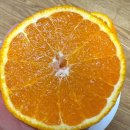 유가농장 이미지