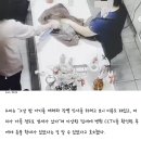 메이플동물병원 - 서구 원당대로 853 | 메이플동물병원