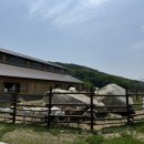 세이지우드 홍천산양목장 이미지
