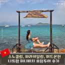 사이판온천호텔 | 나트랑 미니비치 호핑투어 페러세일링 머드온천 후기