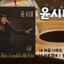 윤시내 새 노래 모음 [내 마음 너무도 몰라] (1978,서라벌) 이미지