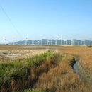 천일태양광발전소 이미지