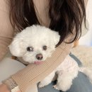 윈썸네일WINSOMENAIL | 강남 신논현과 학동사이 꼼꼼한 논현동 네일맛집 윈썸네일