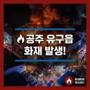 정광푸드