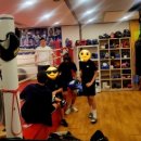 지인진복싱스포츠 이미지