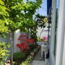 신선동-2 이미지