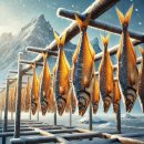 네츄럴이엑스 이미지