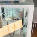 제주스냅 생화부케 하길 잘한 이유 (소피토제주 가격, 셀프스냅)