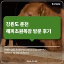 초원들 | [여행 후기] 강원도 춘천 해피초원목장