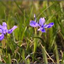 가야3리 이미지