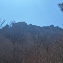 창원대산 Daum카페