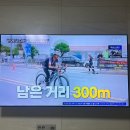 김태희의원 | 서울YMCA마라톤 참가후기 (2024년 마지막 대회)