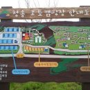 청송오토캠핑장 이미지