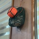 탑동산호전복 | 제주 탑동 맹그로브 근처 혼밥하기 좋은 식당: 은빛식당, 탑동 산호전복