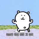 다있소유통