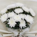 좋은소식 이미지