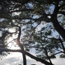 장사솔밭펜션 이미지