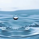 팀마린휘트니스 이미지