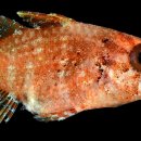 4TEN PC CAFE 이미지