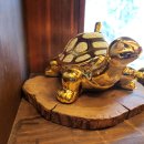 거북찻집 이미지